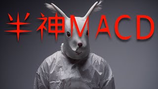 半木夏5000万巨赚秘诀：自动标记信号的MACD策略深度解析