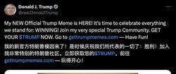 特朗普币引爆市场，探索牛马人生的财富密码