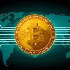 币圈新手暴富攻略大揭秘：3天速成法，避开99%投资者常犯的坑