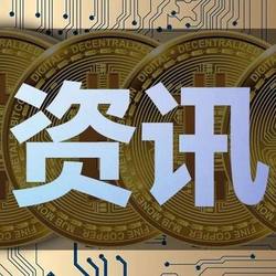 币圈传奇：宠物狗Broccoli代币狂涨近万倍，创始人狂揽672万美元！