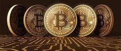 币圈新手入门指南：小白必知的全面攻略
