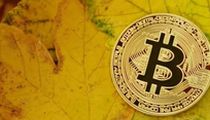 币圈新手必读：10条赚钱秘诀助你稳步盈利