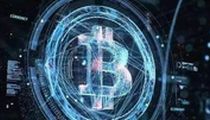 80%投资者资金损失：市场混沌中的生存法则与策略