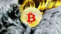 比特币重回94000美元，加密市场暗流涌动：特朗普政策、法律较量与宏观经济逆风交织