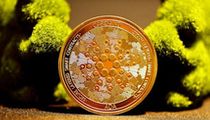 2024链游与AI探索历程：从链游热潮到AI工具开发