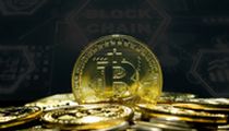 智斗加密货币大鲸鱼：揭秘亏损真相与制胜策略