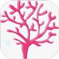 /apps/ztmh/1919.html