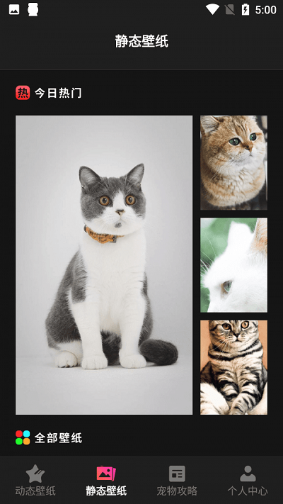 猫吖壁纸 手机高清壁纸