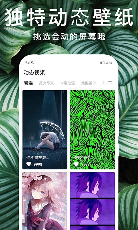 灵猫桌面壁纸 最新版