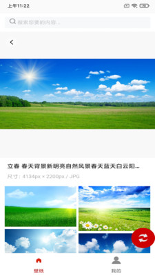 白鸽壁纸 最新版