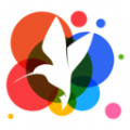 小鸟壁纸 app自动换壁纸