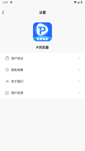 P浏览器 纯净无弹窗版