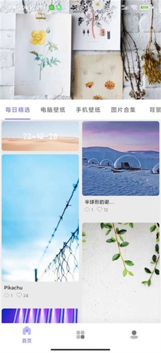 派派壁纸 手机版