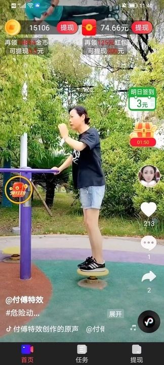 热情石竹 热情石竹