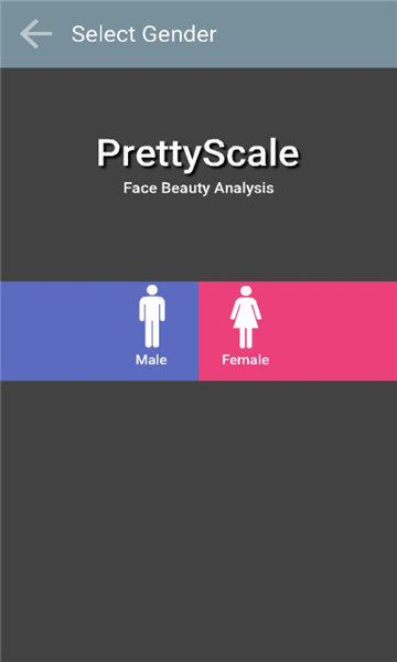 pretty scale中文版 pretty scale中文版