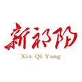 新祁阳app官方版