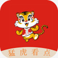 猛虎看点