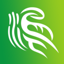 金温江app