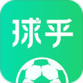 球乎app安卓版