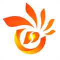 掌心磐石app
