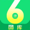 澳六图库大全图app官方正版