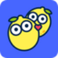 情侣桌面宠物app