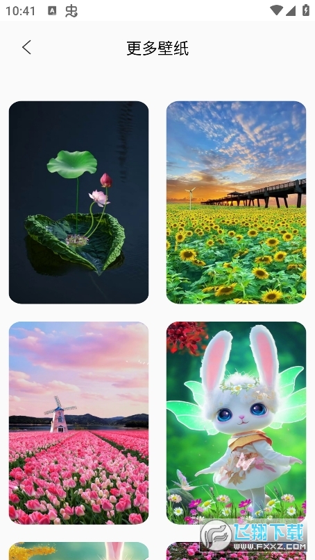 Quin壁纸app官方版