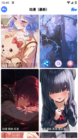 波奇壁纸手机版