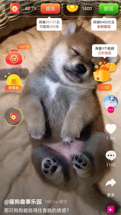 狗南北短视频软件