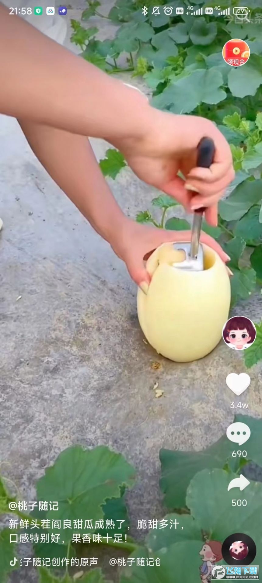 北猴短视频赚钱软件