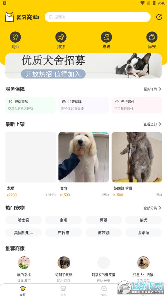 买只宠物app