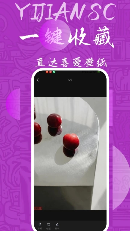 量岛app安卓最新版