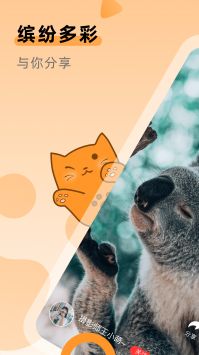 桔猫短视频app