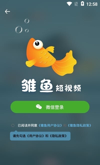 雏鱼短视频app手机版