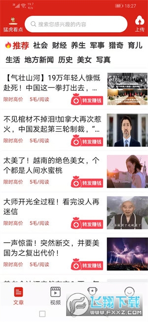 猛虎看点