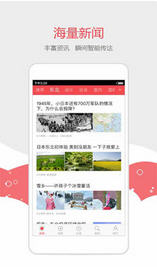 东北头条app