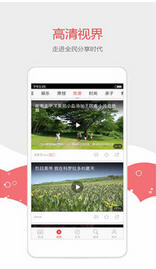 东北头条app