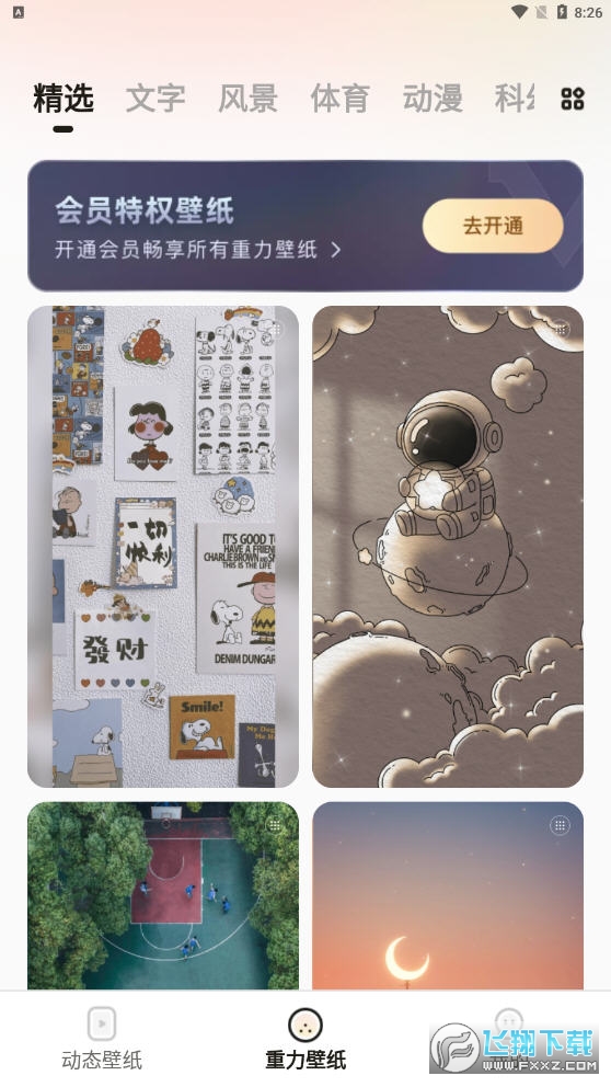 皮皮壁纸桌面壁纸