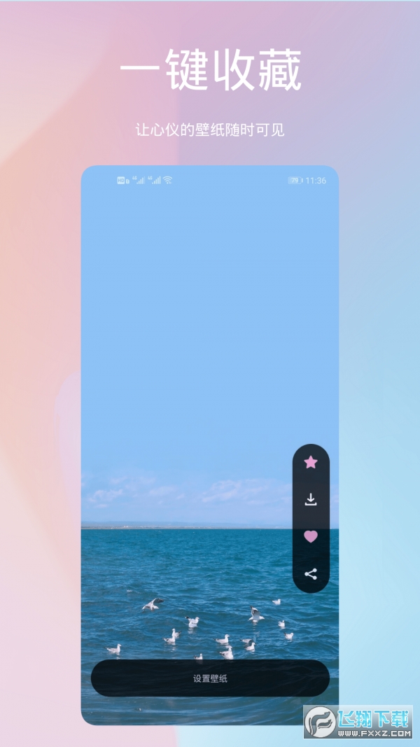 鹦鹉螺壁纸最新app