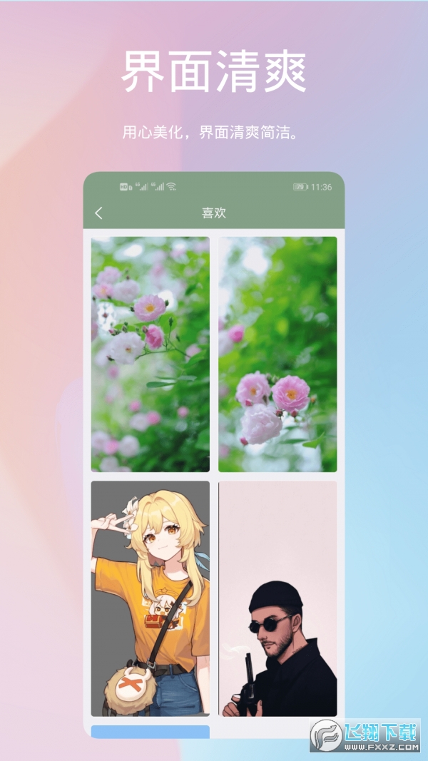 鹦鹉螺壁纸最新app
