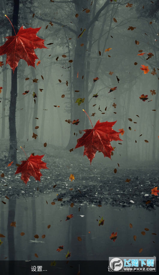 3D Wallpapers最新版