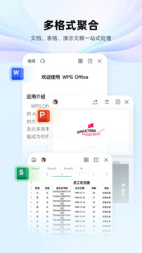 WPS Office 官方正版
