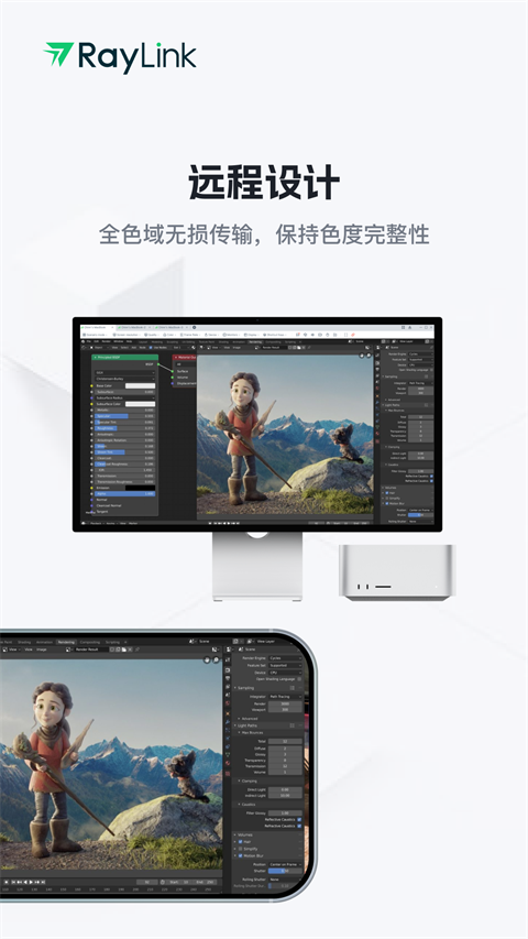 RayLink 官网入口