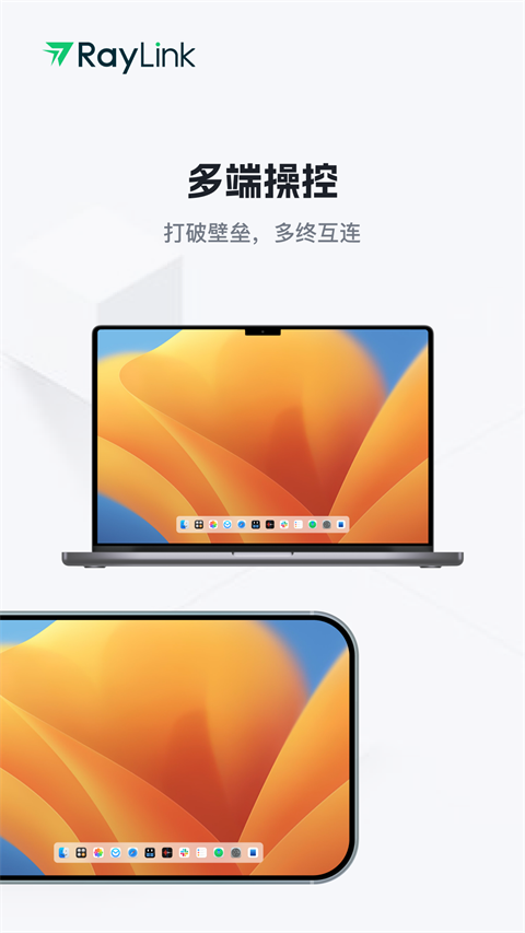 RayLink 官网入口