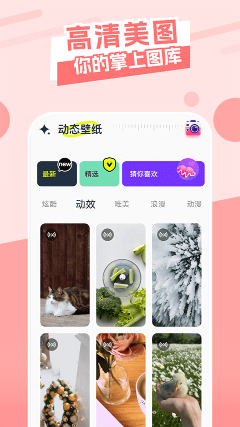 主题库 永久免费版