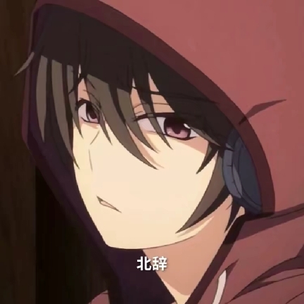 北辞 正版