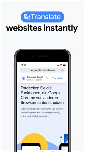 Chrome浏览器 纯净版