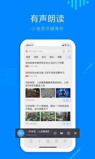 safari浏览器 app中文版