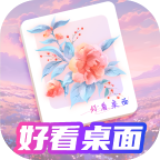 好看桌面壁纸 透明版