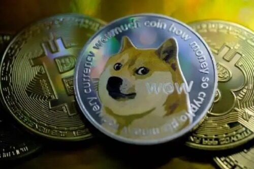 SHIB币五年后(shib币五年后价格预测)-第1张图片-欧意下载